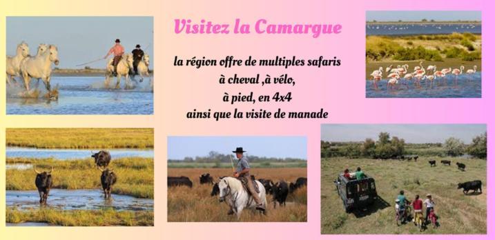Appartamento Chez Valérie Vergèze Esterno foto